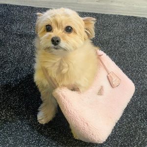 Meet your Posher, Wenxin